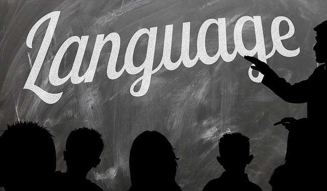 Языкознание