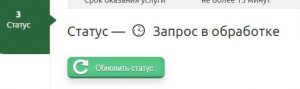 Статус запроса в обработке