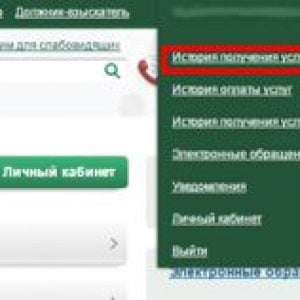 Меню истории получения услуг