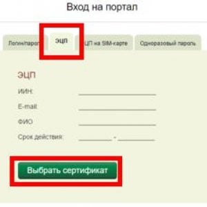 Вход на портал электронного правительства