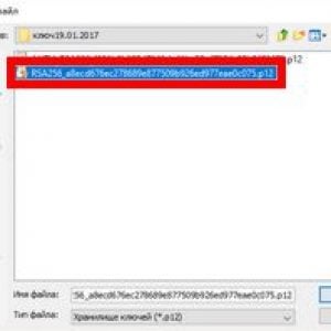Выбор ключа RSA из папки