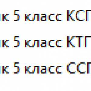 Русский язык 5 класс (обновленная программа