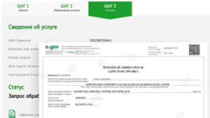 Адресная справка 2019