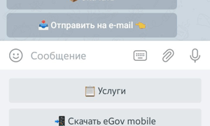Как узнать штрафы в Казахстане с телефона
