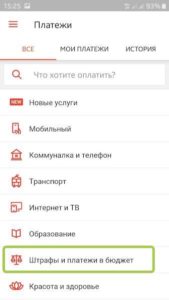 В платежах выбираем Штрафы и платежи в бюджет