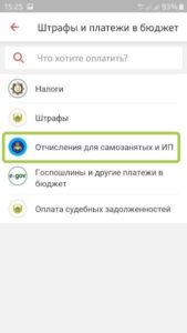 Во вкладке Штрафы и бюджет выбираем Отчисления и выплаты самозанятых и ИП
