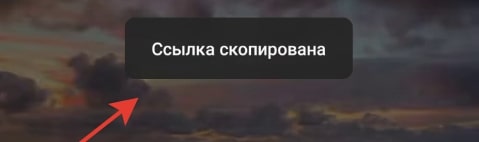Подтверждение что ссылка Инстаграм скопирована