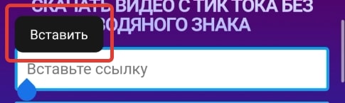 Теперь можем вставить ссылку тиктока нажав вставить